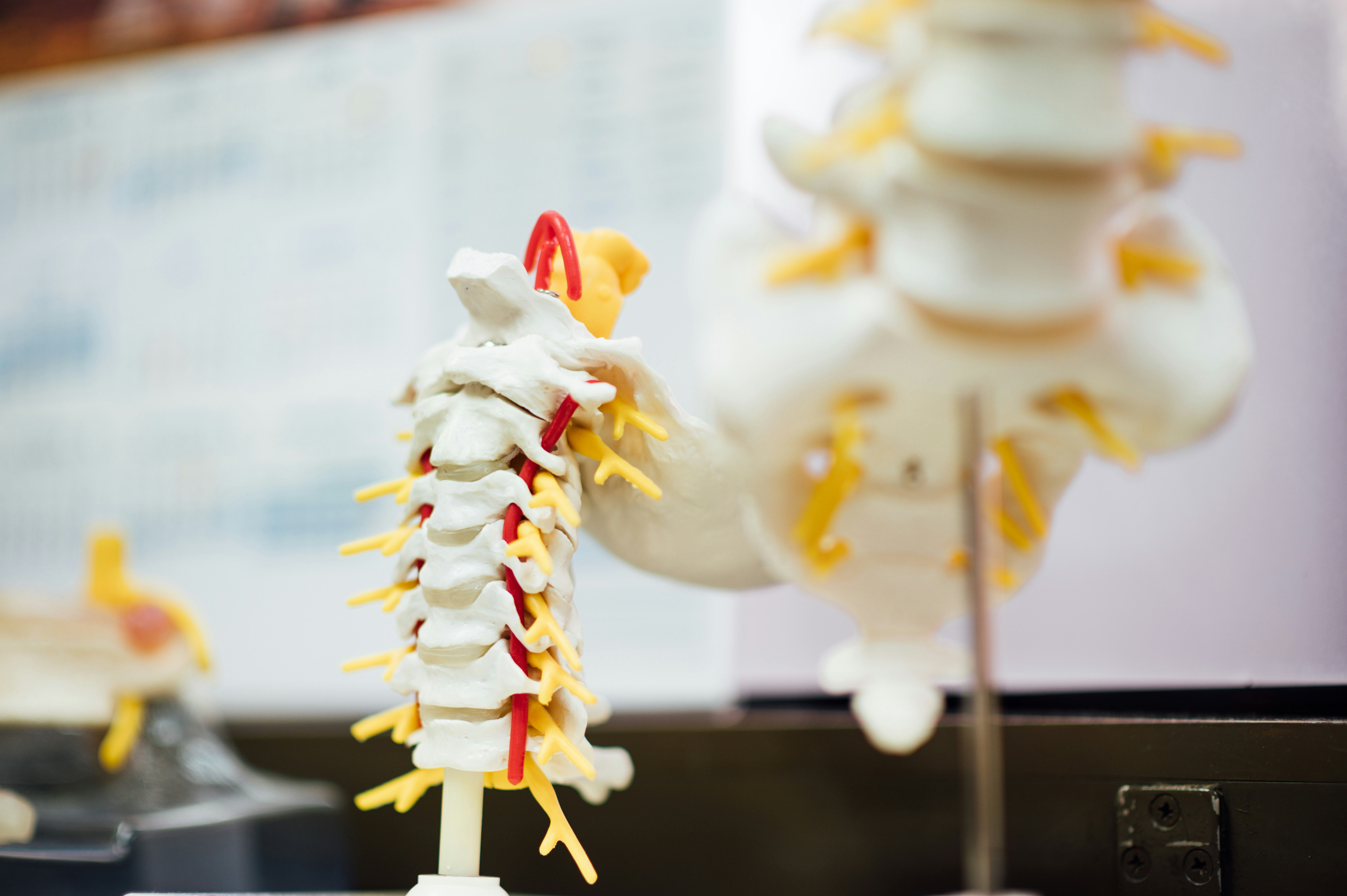 Sciatica and lower back pain